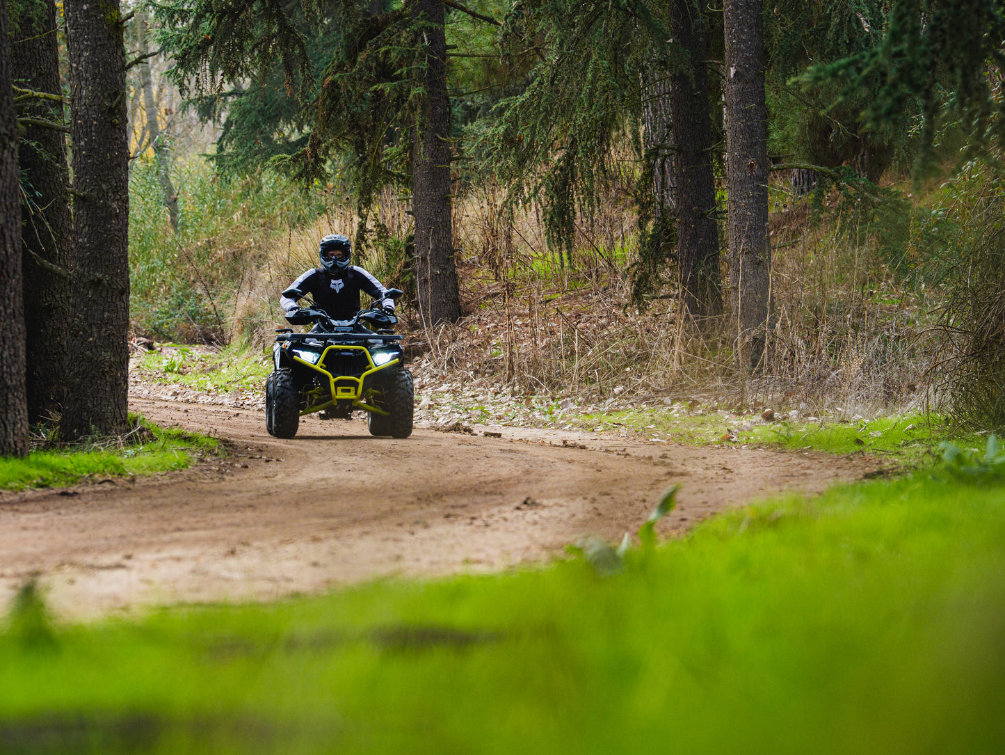 Mitt 275 ATV