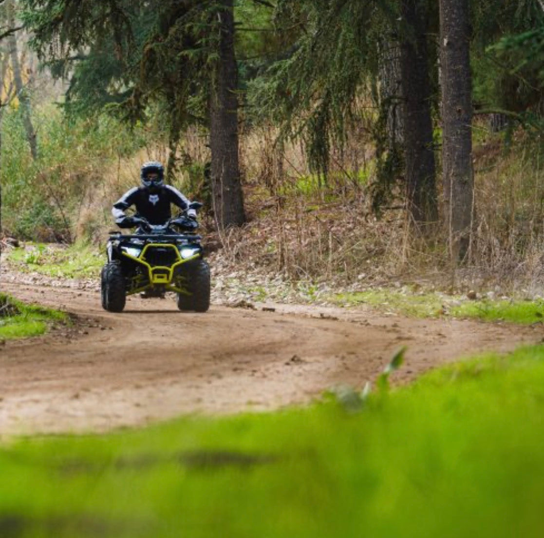Mitt 275 ATV