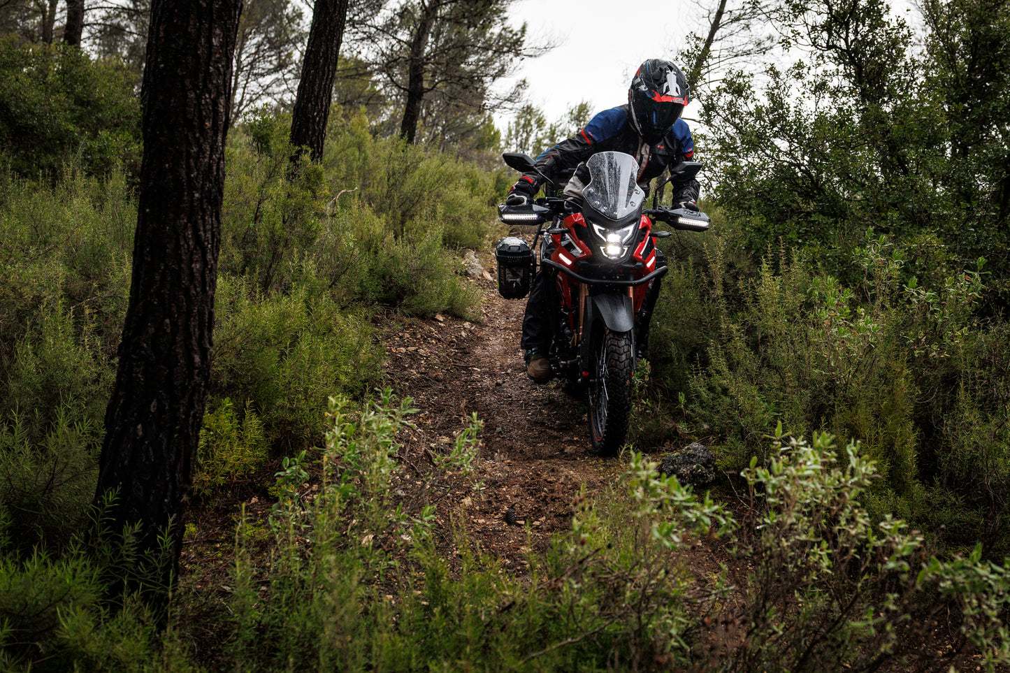 Mitt MT 125