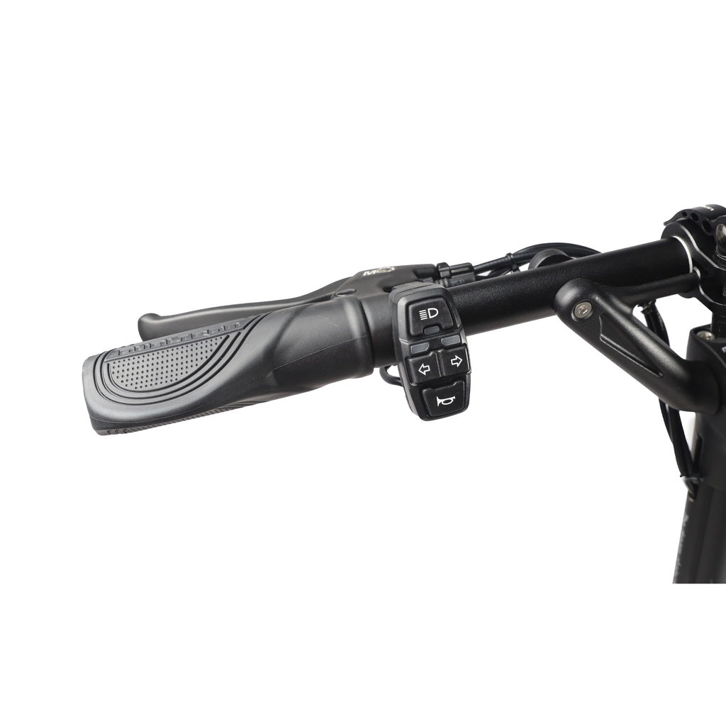 Dualtron Aminia Dual Motor