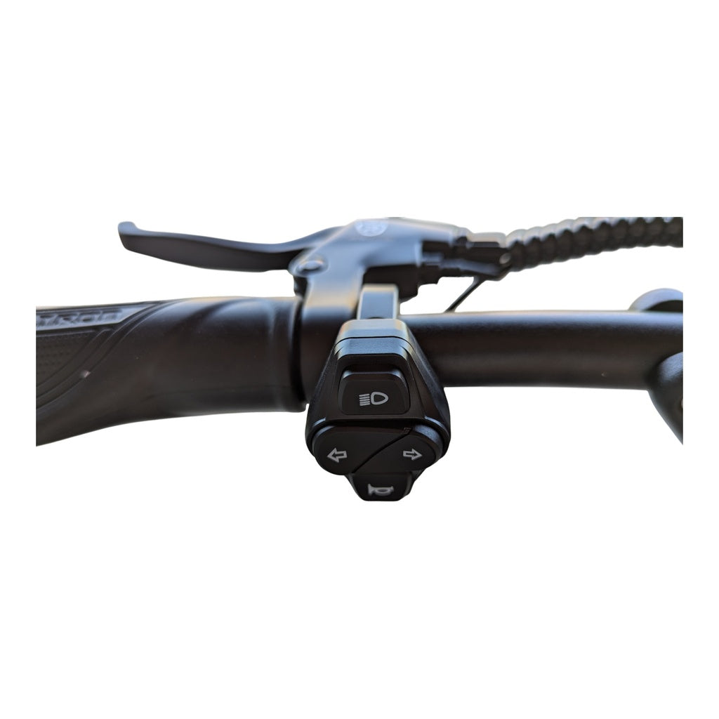 Trotinete Elétrica Rovoron R7
